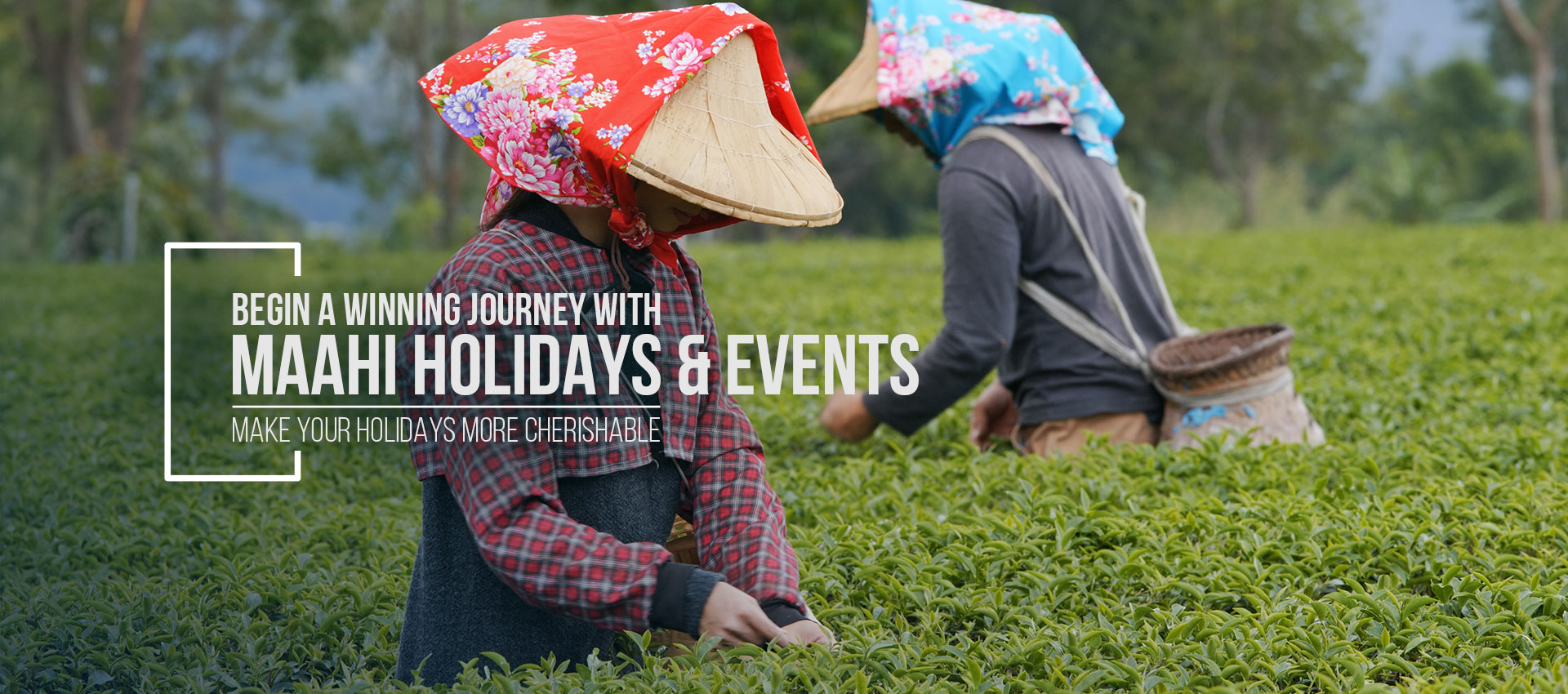 Maahi Holidays & Events