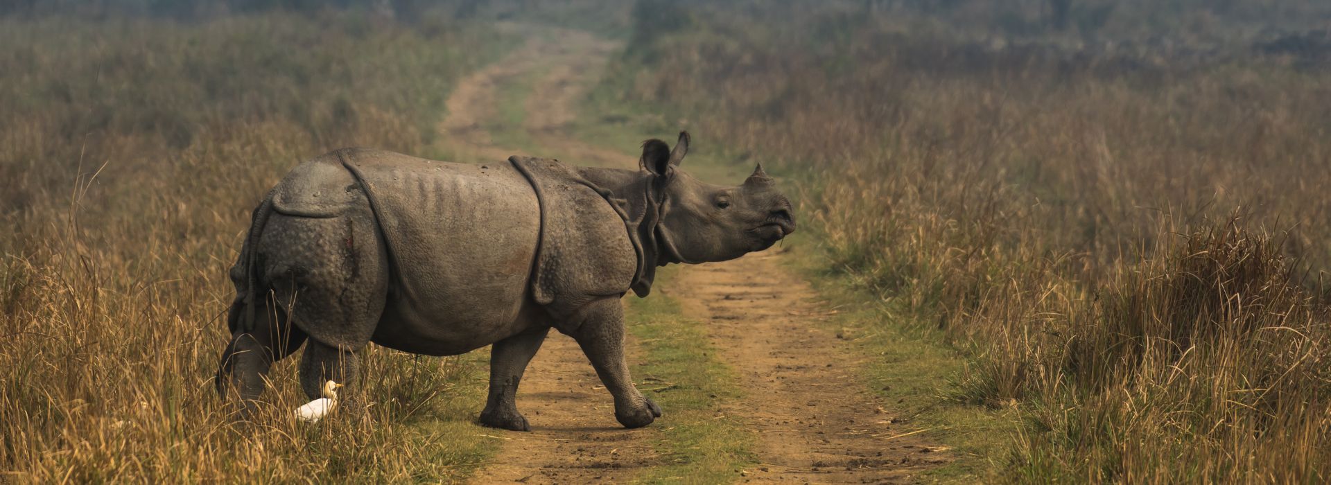 Explore Assam