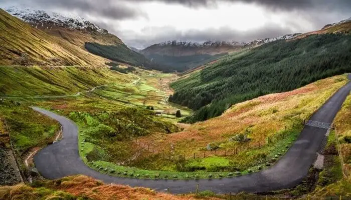 Northeastern Wonderland Experience