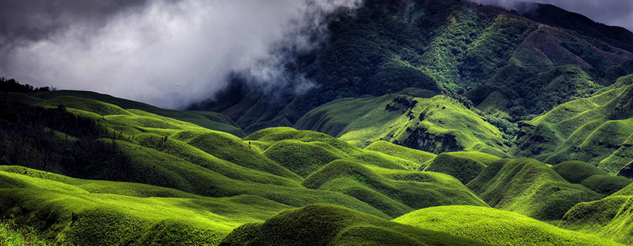 Dzukou Valley