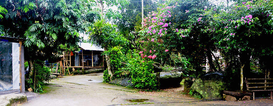 Mawlynnong