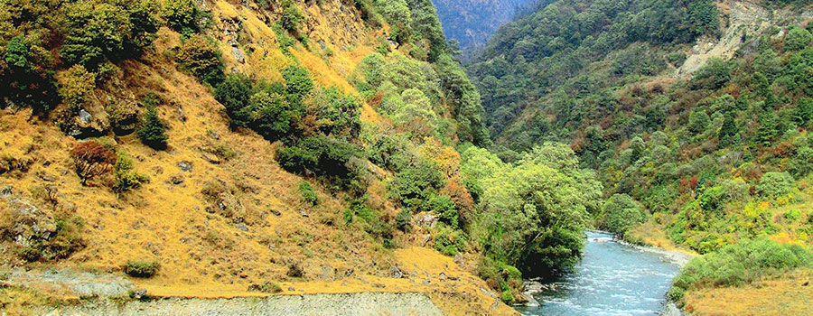 Ziro Valley