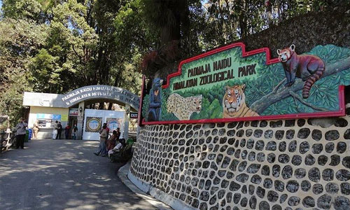 Padmaja Naidu Himalayan Zoological Park