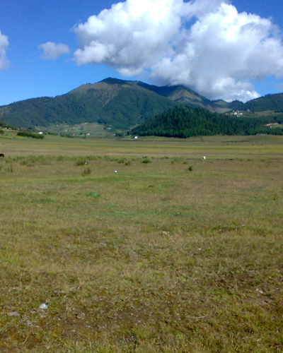 Phobjikha Valley