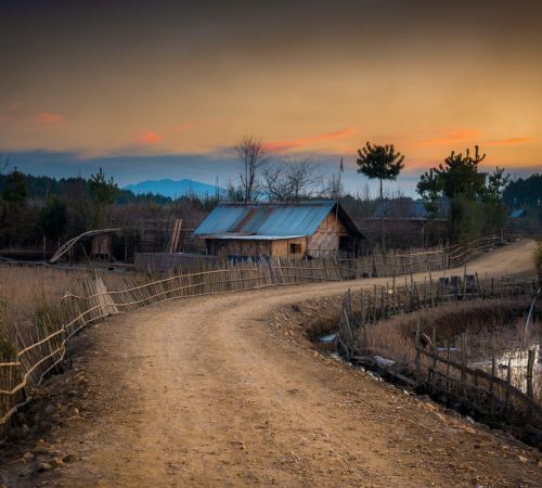 Ziro Valley