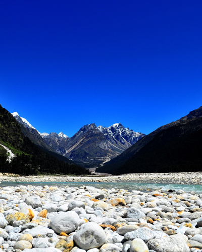 Yumthang Valley of Flowers